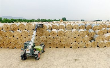 甘肅省涼州區秸稈再利用 獎補機制引領新篇章