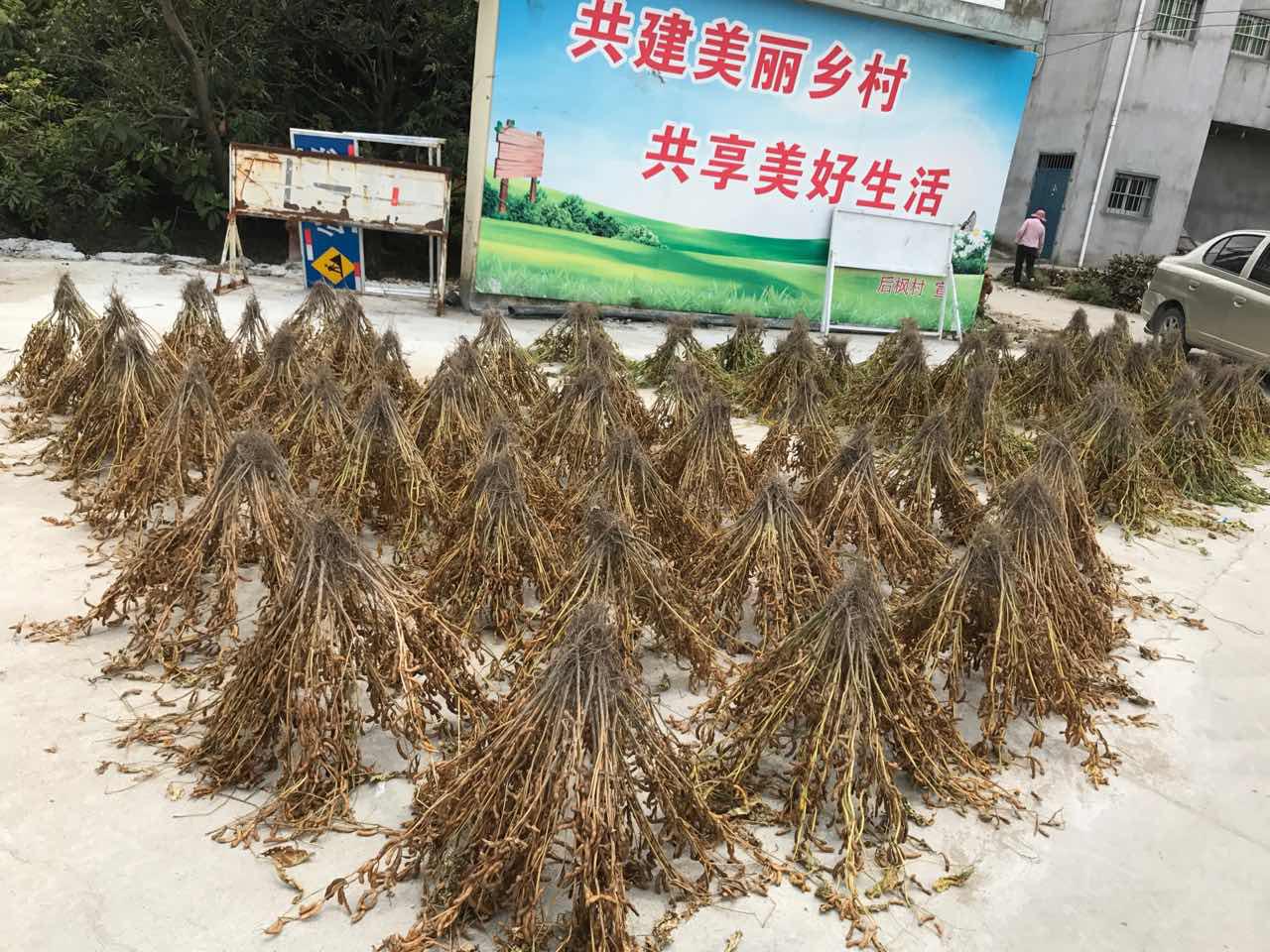 秸稈變廢為寶 城廂區農業局多舉措推廣回收再利用技術