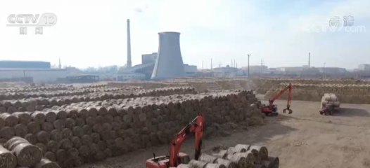 數字里的綠色奇跡 我國秸稈綜合利用取得的新成效