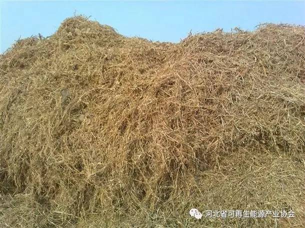 河北農作物秸稈綜合利用率突破95.6%，綠色循環助力鄉村振興